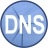 Simple DNS Plus Download Icon