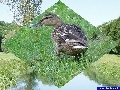 Dreamworldsaver Screenshot