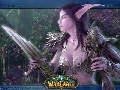 Women of Warcraft Screenshot