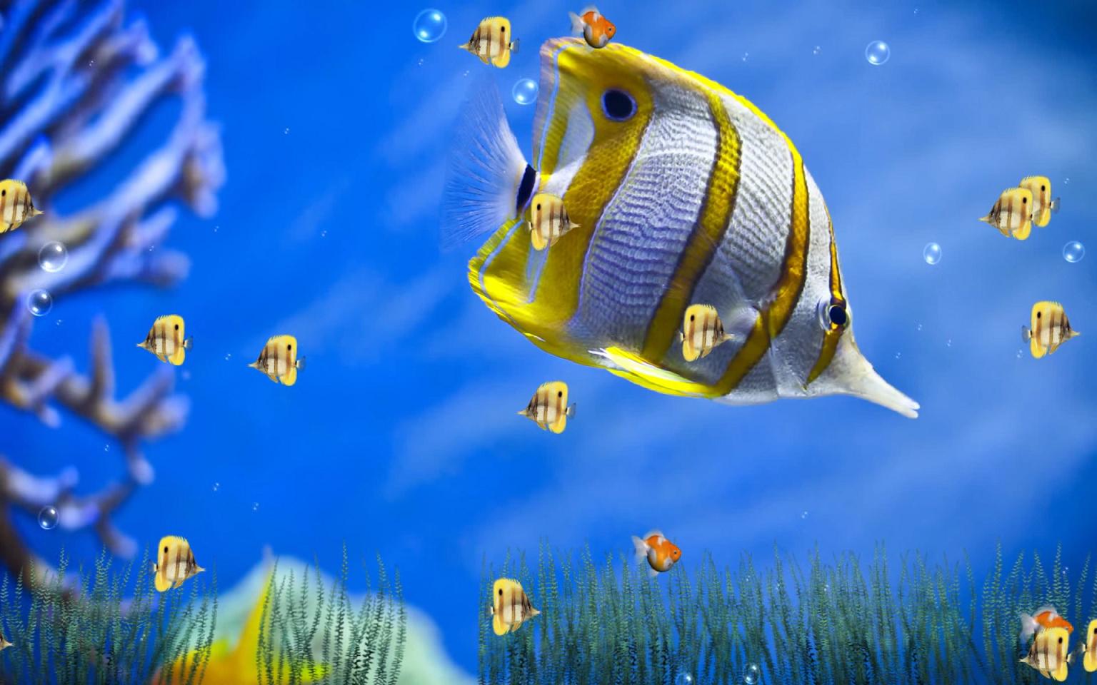 Marine Life Aquarium 1.0 Screenshot