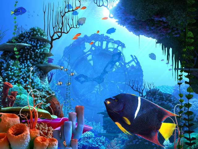 Coral Clock 3D 1.0 Screenshot