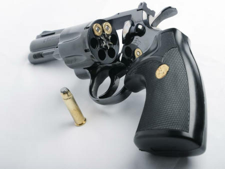 Guns 1 1.0 Screenshot