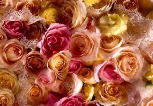 Mother's Day Roses 1.0 Screenshot