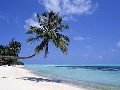 Tropical Beaches 1.0 Tropical Beaches 1.0