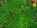 2 Many Bugs Screenshot