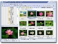 FastStone Image Viewer Screenshot