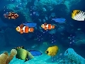 Aquarium Screensaver Screenshot