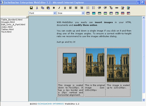 Eschelbacher Enterprises WebEditor Screenshot Eschelbacher Enterprises WebEditor Screenshot