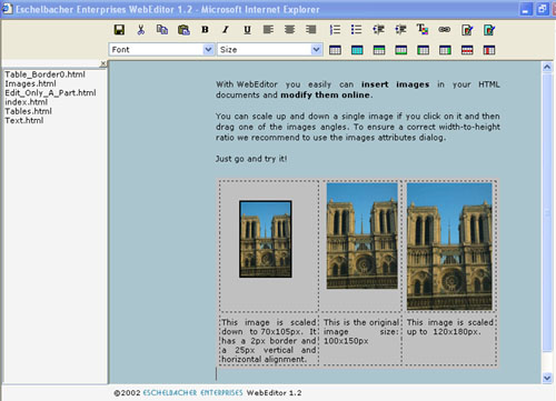 Eschelbacher Enterprises WebEditor Screenshot