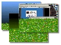 Flower Power Screensaver Screenshot