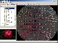 ImageSorter Screenshot