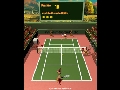 Moorhuhn Tennis Screenshot