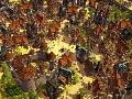 Die Siedler - Aufstieg eines Königreichs Screenshot